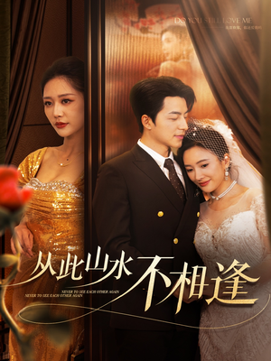 从此山水不相逢(60集) 从此山水不相逢(60集)在线看免费版