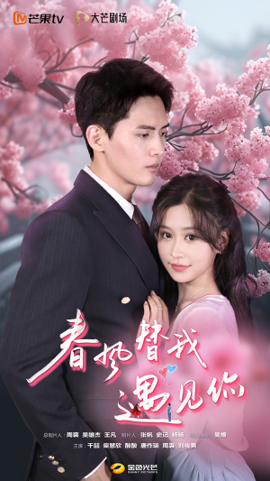 春风替我遇见你（100集）高清画质免费看