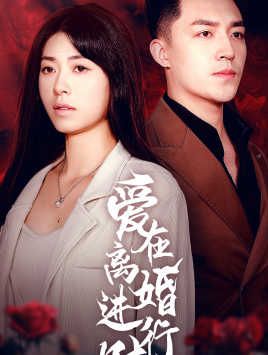 爱在离婚进行时(61集) 爱在离婚进行时(61集)免费在线看全集