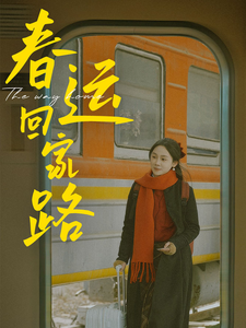 春运回家路(32集) 春运回家路(32集)口碑爆棚免费看