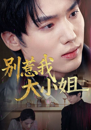 别惹我大小姐（40集）熬夜追短剧