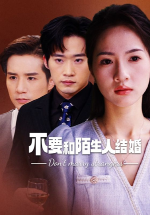 不要和陌生人结婚(90集) 不要和陌生人结婚(90集)免费看