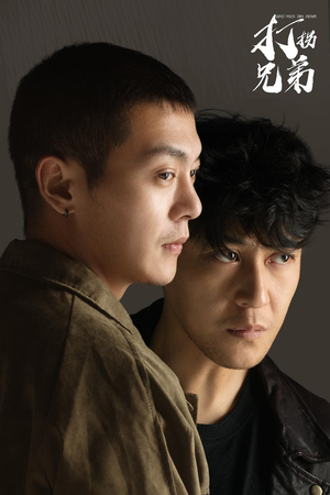 打拐兄弟（30集）免费看全网短剧