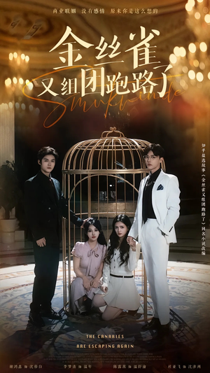 金丝雀又组团跑路了（长篇）好看短剧看不停