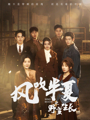 风吹半夏之野蛮生长(59集) 风吹半夏之野蛮生长(59集)看到了大结局