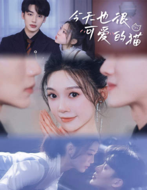 今天也很可爱的猫(72集) 今天也很可爱的猫(72集)免费观看