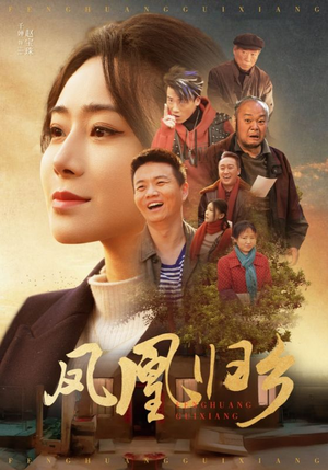 凤凰归乡（33集）高分推荐免费看