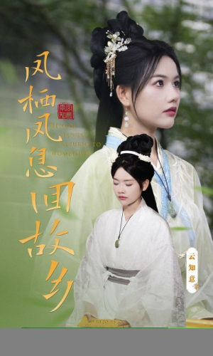 凤栖凤息回故乡(36集) 凤栖凤息回故乡(36集)爆款短剧一起追