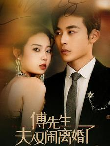 傅先生夫人又闹离婚了（80集）热播短剧追不停