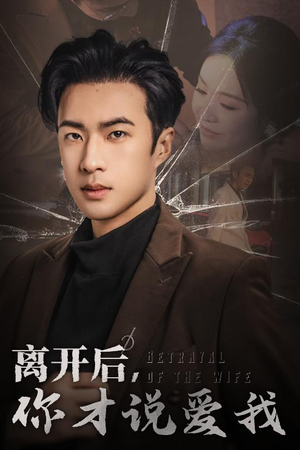 离开后,你才说爱我(30集) 离开后,你才说爱我(30集)在线看免费版