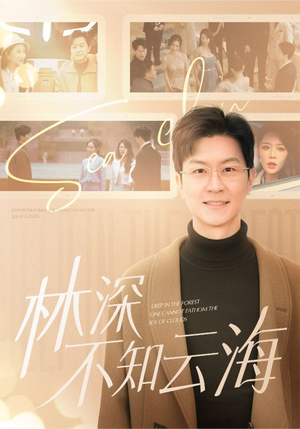 林深不知云海(84集) 林深不知云海(84集)口碑之选免费看