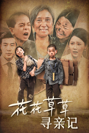 花花草草寻亲记（42集）河马免费短剧