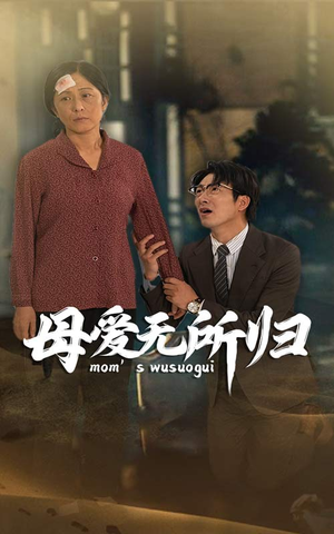 母爱无所归(33集) 母爱无所归(33集)在哪个平台看