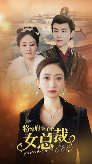 将军府来了个女总裁（88集）海量资源免费看