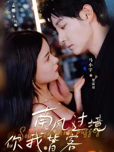 南风国境你我皆客(80集) 南风国境你我皆客(80集)在线看到大结局