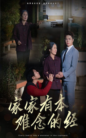 家家有本难念的经（34集）精彩的短剧