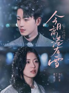 今日离港有雪（83集）在线观看