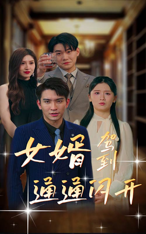 女婿驾到,通通闪开(34集) 女婿驾到,通通闪开(34集)这部短剧太好看