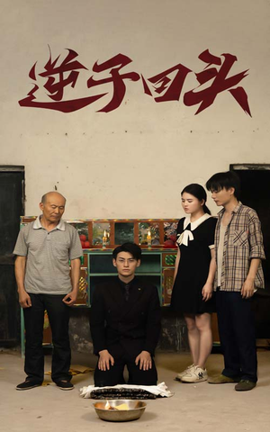 逆子回头(33集) 逆子回头(33集)男频短剧推荐