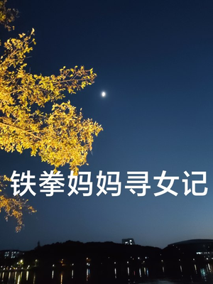 铁拳妈妈寻女记（69集）火爆短剧推荐