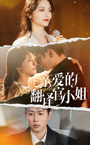 亲爱的翻译官小姐(51集) 亲爱的翻译官小姐(51集)常回家看看短剧