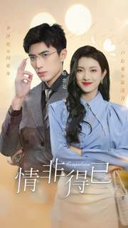 情非得已(60集) 情非得已(60集)在线观看全集