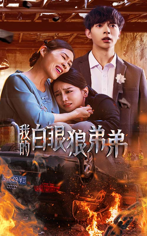 我的白眼狼弟弟（69集）短剧抢先看