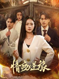 情殇逆旅(90集) 情殇逆旅(90集)让你一口气看完