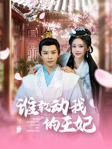 谁敢动我的王妃（62集）免费短剧看全集