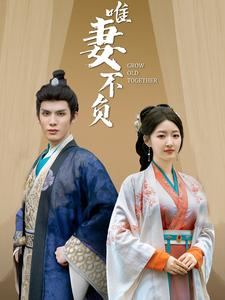 唯妻不负(80集) 唯妻不负(80集)短剧太好看了吧