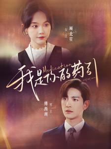 我是你的药引(100集) 我是你的药引(100集)好看吗