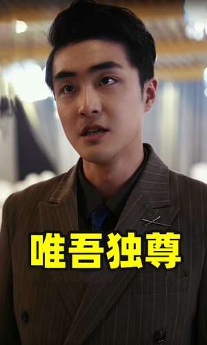 唯吾独尊(96集) 唯吾独尊(96集)爆火短剧抢先看