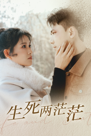 生死两茫茫（35集）免费短剧看全集
