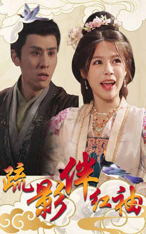疏影伴红袖(40集) 疏影伴红袖(40集)男主角是谁