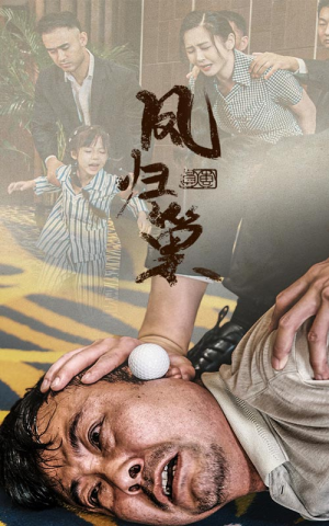 新版：凤归巢（68集）超火热门短剧