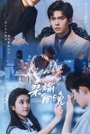 桑榆向晚（65集）百万短剧抢先看