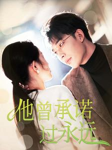 他曾承诺过永远（70集）好看短剧看不停