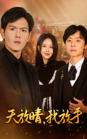 天放晴，我放手（35集）全网独播免费看