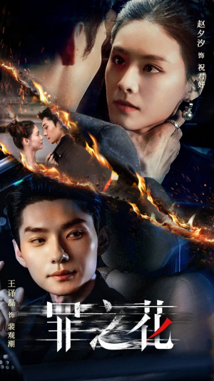 罪之花（56集）热门短剧抢先