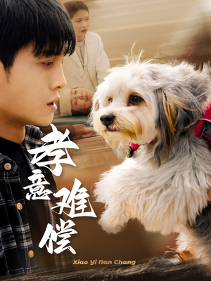 孝意难偿(32集) 孝意难偿(32集)短剧爆款推荐