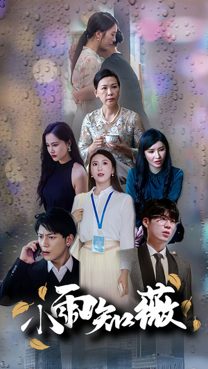 小雨知薇（80集）高分推荐免费看