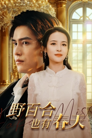 野百合也有春天(85集) 野百合也有春天(85集)全集下载