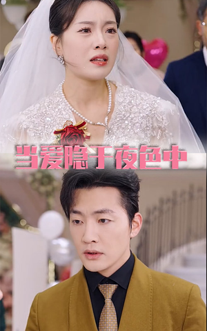 当爱隐于夜色中(37集) 当爱隐于夜色中(37集)一共多少集