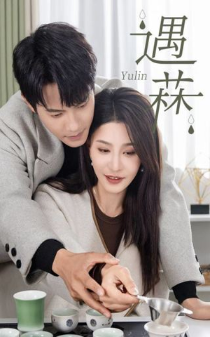 遇菻&遇霖(50集) 遇菻&遇霖(50集)剧好看短剧推荐