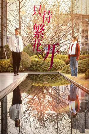 只待繁花开(35集) 只待繁花开(35集)超火热门短剧