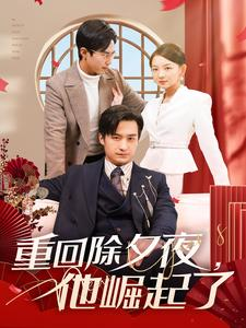 重回除夕夜他崛起了（89集）精彩热门短剧