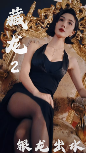 藏龙2银龙出水（35集）免费短剧就是爽