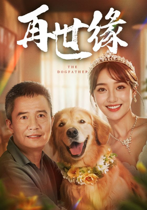 再世缘（41集）一口气看完全集