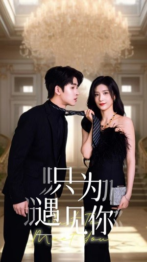 只为遇见你(88集) 只为遇见你(88集)百度在线观看