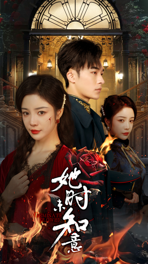 她时未知意(70集) 她时未知意(70集)全季一次看完